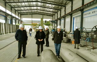 蘇州科星 混凝土水泥制品裝備的領(lǐng)先制造者